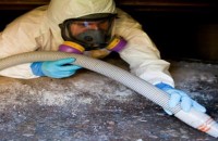 Mold Remediation Vancouver