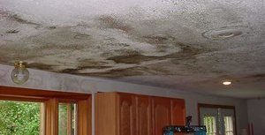 Mold Growth On Ceiling After Major Leak